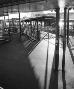 BelliniFoto EURO HC (110)