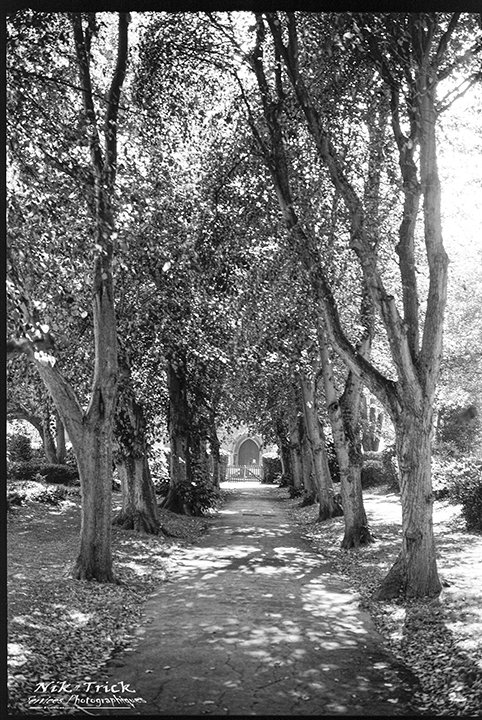 Shanghai GP3 ~ 100asa Black & White Film 120 Roll