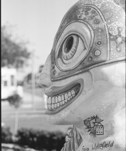 Shanghai GP3 ~ 100asa Black & White Film 120 Roll