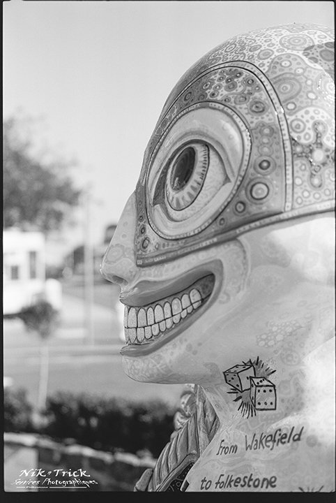 Shanghai GP3 ~ 100asa Black & White Film 120 Roll