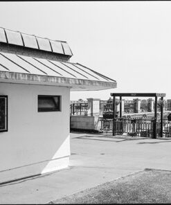 Shanghai GP3 ~ 100asa Black & White Film 120 Roll