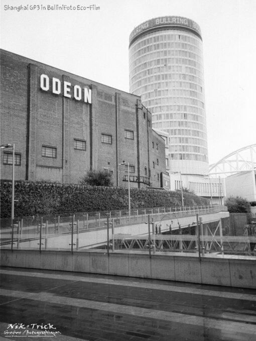 Shanghai GP3 and Kodak Double-X & BelliniFoto Eco-Film (Xtol) Developer