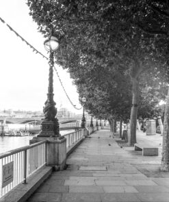 Kodak Double-X & BelliniFoto Eco-Film (Xtol) Developer