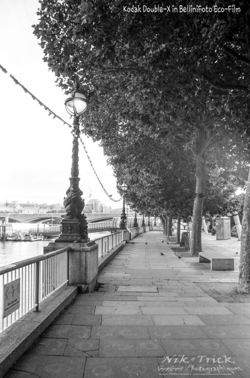 Kodak Double-X & BelliniFoto Eco-Film (Xtol) Developer