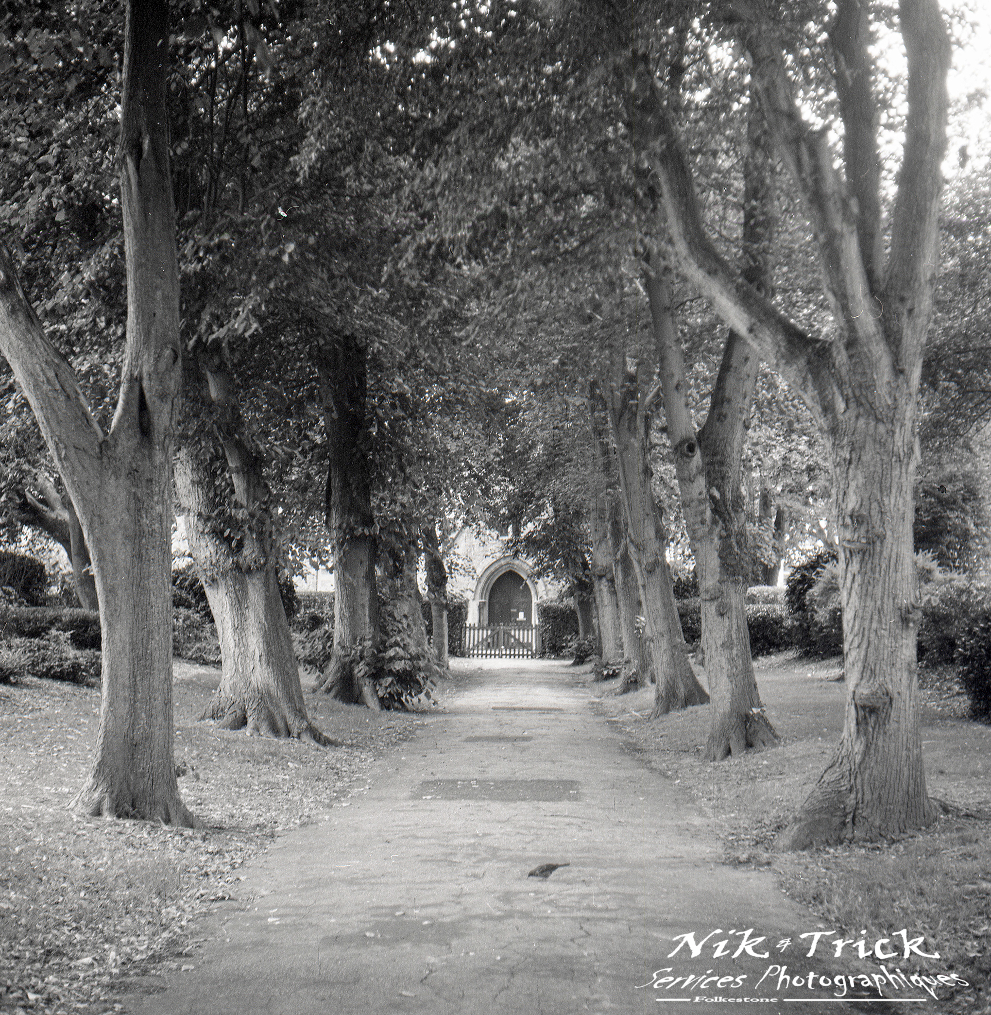 Shanghai GP3 100asa 127 B&W Roll Film ~ Introduced by Nik & Trick in 2021 uses the wonderful Orwo UN54 Emulsion, it is the best in it's class