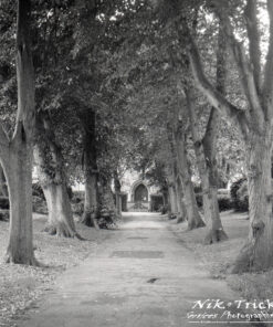 Shanghai GP3 100asa 127 B&W Roll Film ~ Introduced by Nik & Trick in 2021 uses the wonderful Orwo UN54 Emulsion, it is the best in it's class