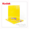 Kodak Portra 160 Professional Large Format