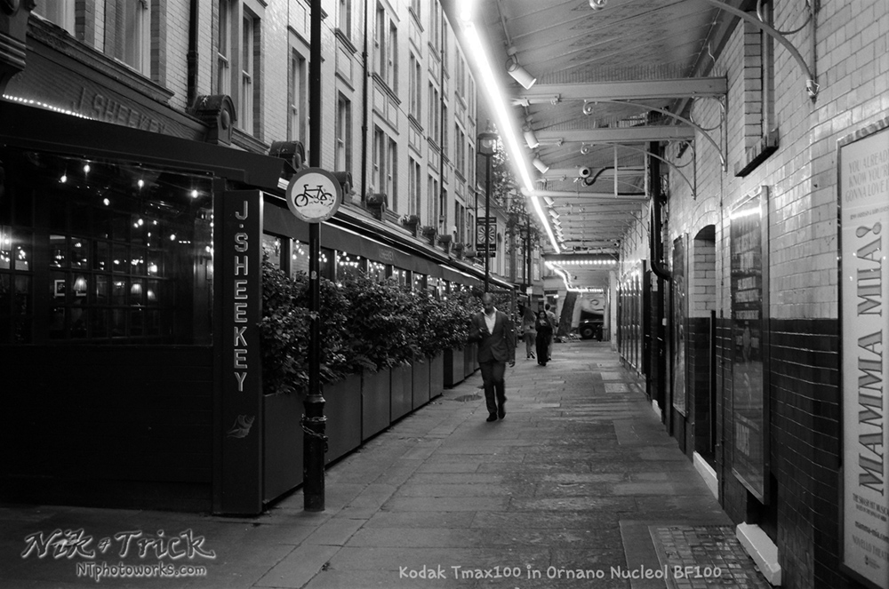 Kodak Tmax100 35mm in Ornano Nucleol BF200