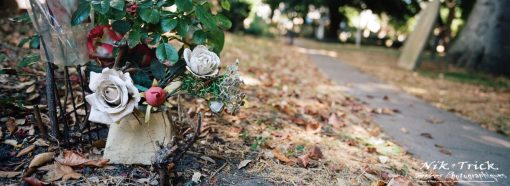 Portra 400 35mm via Fuji TX-1