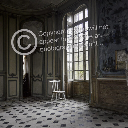 Chateau de Singes Urbex ~ Choice of Fine Art Photographic Prints - Image 3