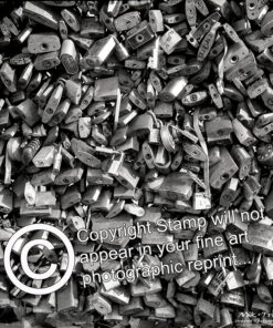"Locked in Love" ~ Fine Art Photographic Print