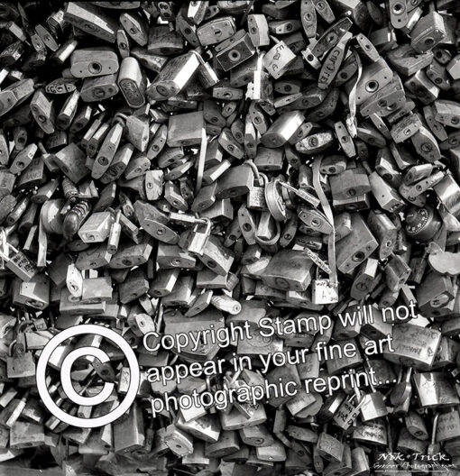 "Locked in Love" ~ Fine Art Photographic Print