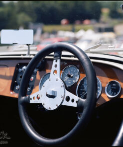 Kodak Ektar Pro 100