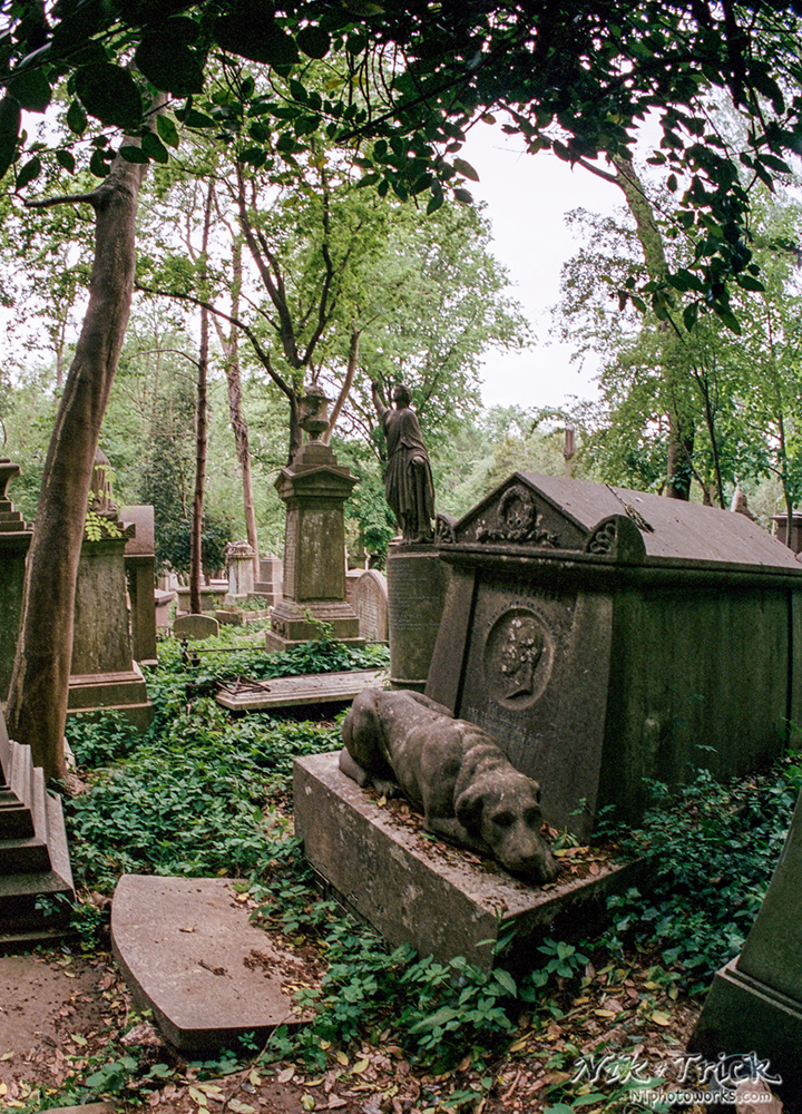 Kodak Portra 400 Professional 35mm