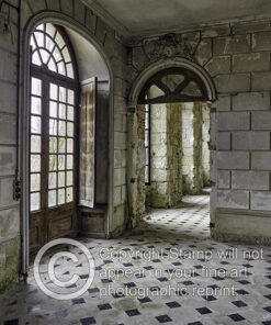 Alternative view of Chateau de Singes Urbex ~ Choice of Fine Art Photographic Prints