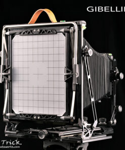 Gibellini AG810 Large Format 10x8 Field Camera