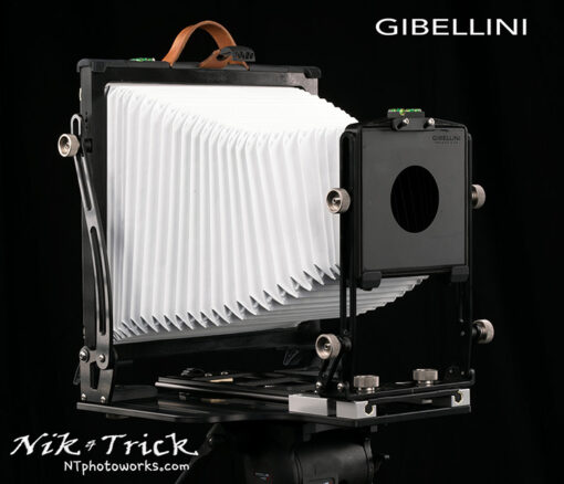 Gibellini Bellatrix Budget 10x8 Field Camera