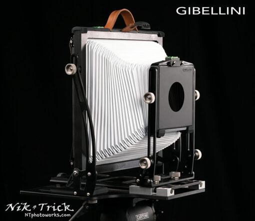 Gibellini Bellatrix Budget 10x8 Field Camera