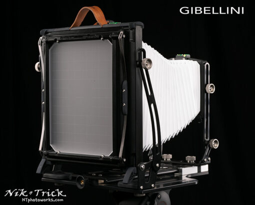 Gibellini Bellatrix Budget 10x8 Field Camera