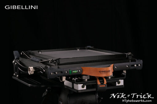 Gibellini Bellatrix Budget 10x8 Field Camera