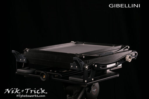 Gibellini Bellatrix Budget 10x8 Field Camera