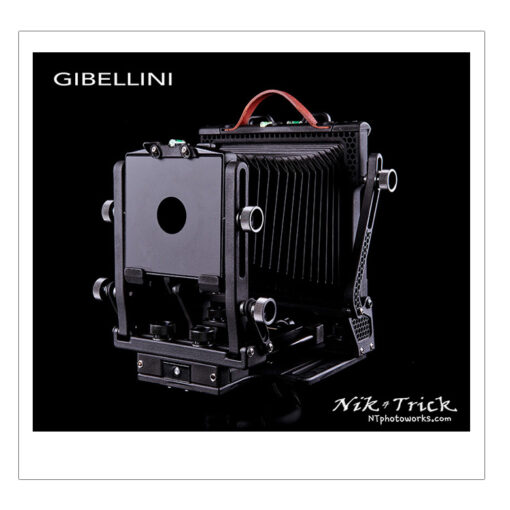 Gibellini "Black Swan" Entry Level 4x5 Camera
