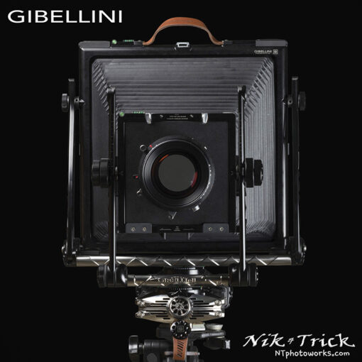 Gibellini GP810Ti High Tech 10x8 Camera
