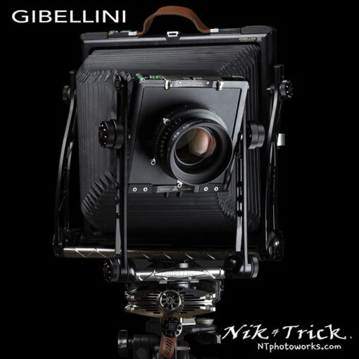 Gibellini GP810Ti High Tech 10x8 Camera