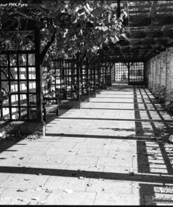 Shanghai GP3 in PMK Pyro