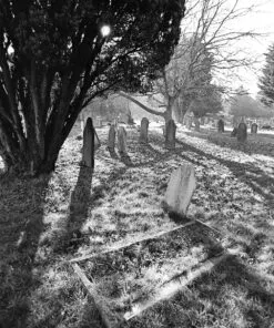 Fomapan 200 Creative 35mm