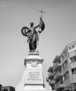 Fomapan 400 in N&T FX-55