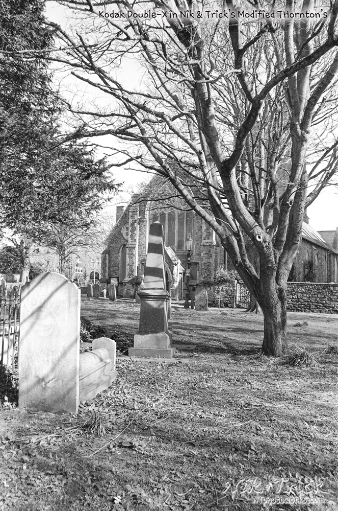 Kodak Double-X in N&T Modified Thornton's