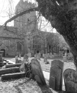 Kodak Double-X in N&T Modified Thornton's