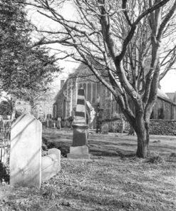 Kodak Double-X in N&T Modified Thornton's