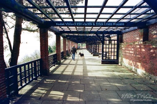 Nik & Trick's Unique Cross Processing Service for ENC2 Films