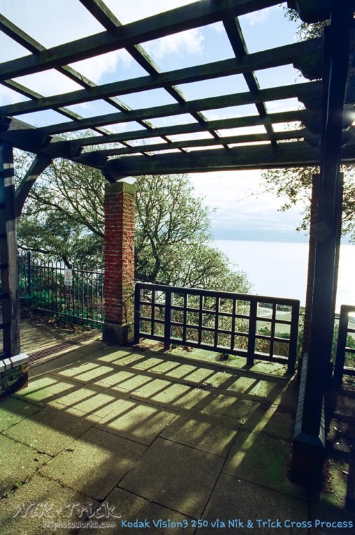 Nik & Trick's Unique Cross Processing Service for ENC2 Films