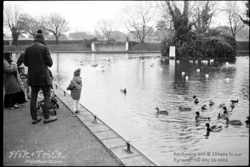 Kentmere PAN 400 120 Roll Film in Pyrocat-HD