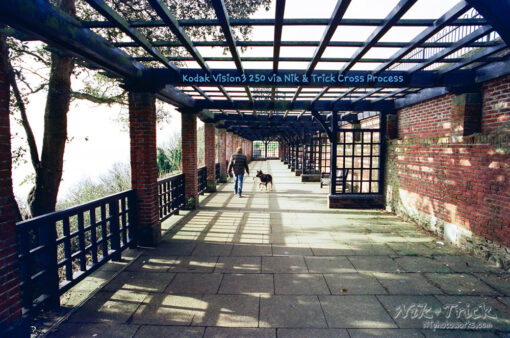 Nik & Trick's Unique Cross Processing Service for ENC2 Films