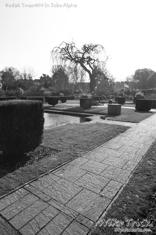 Kodak Tmax400 in Jobo Alpha