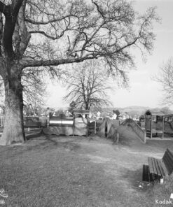 Kodak Tmax400 in Jobo Alpha