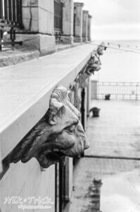 Kodak Double-X in Colin via Nikon SP Rangefinder