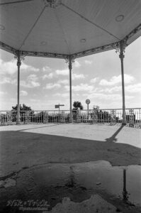 Kodak Double-X in Colin the Pyro Developer