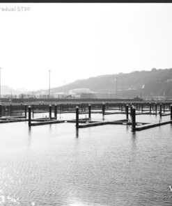 Ilford SFX in Ornano Gradual ST-20