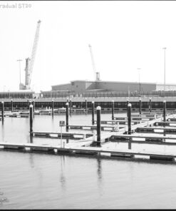 Ilford SFX in Ornano Gradual ST-20