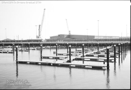 Ilford SFX in Ornano Gradual ST-20