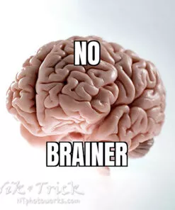 Alternative view of Strawberries & Cream Combo Pack #4 ~ Tmax 100/400 & BelliniFoto Hydrofen