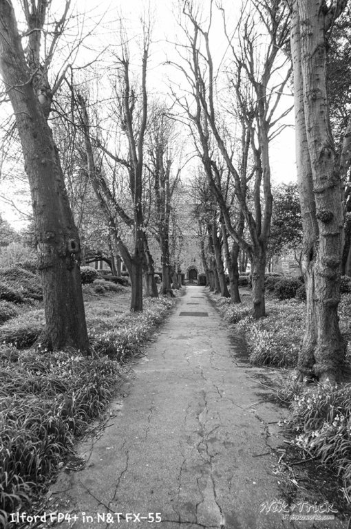 Ilford FP4+ in Nik & Trick FX-55