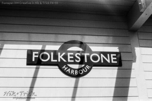 Fomapan 200 Creative in FX55