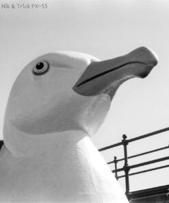 Fomapan 200 Creative in FX55