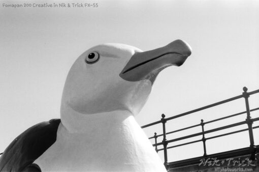 Fomapan 200 Creative in FX55